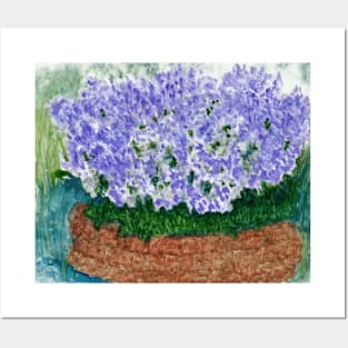 Sage Blossoms in the Herb Garden Posters and Art